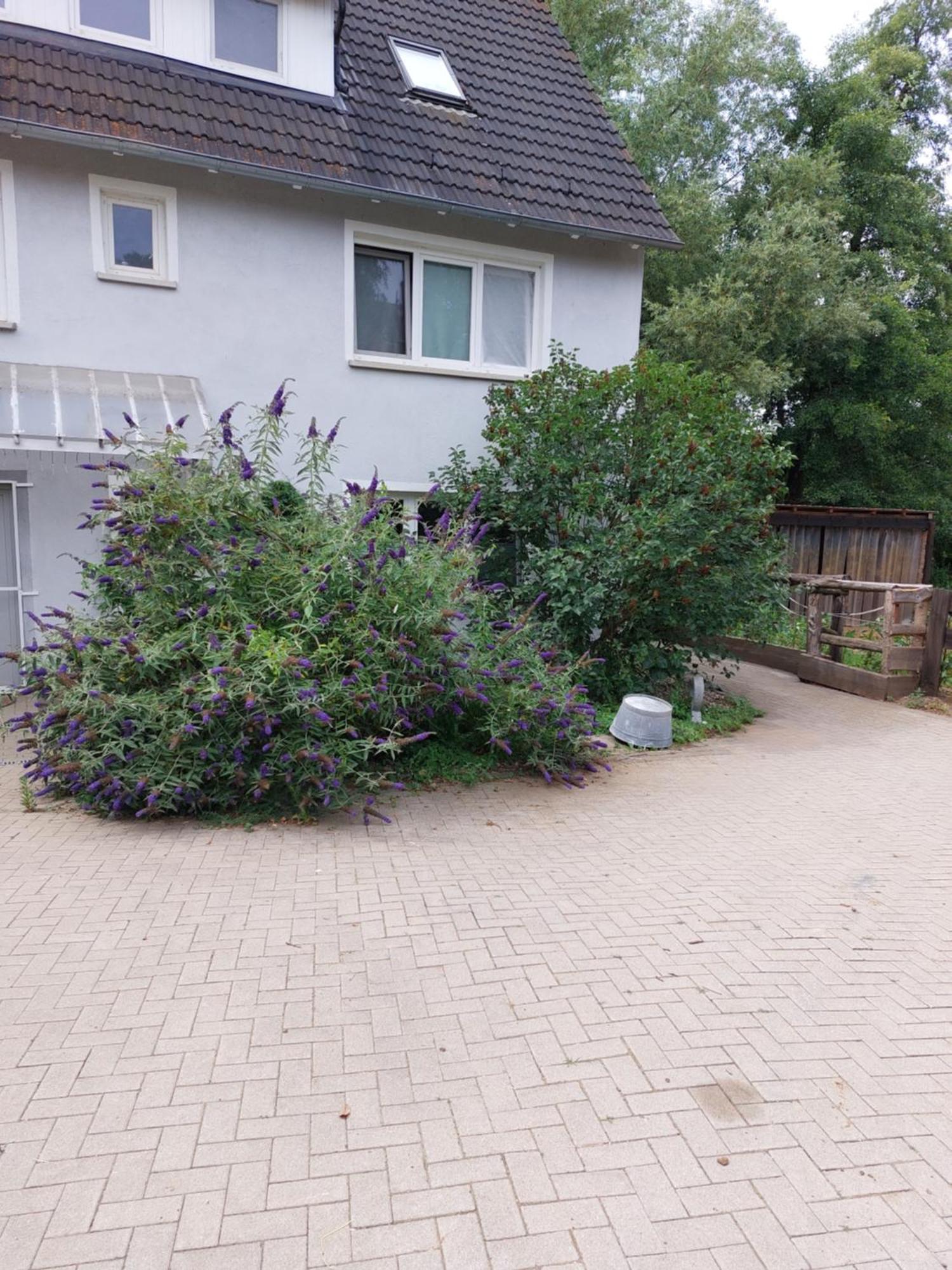 Schöne Direkt Am Bach Neunkirchen am Sand