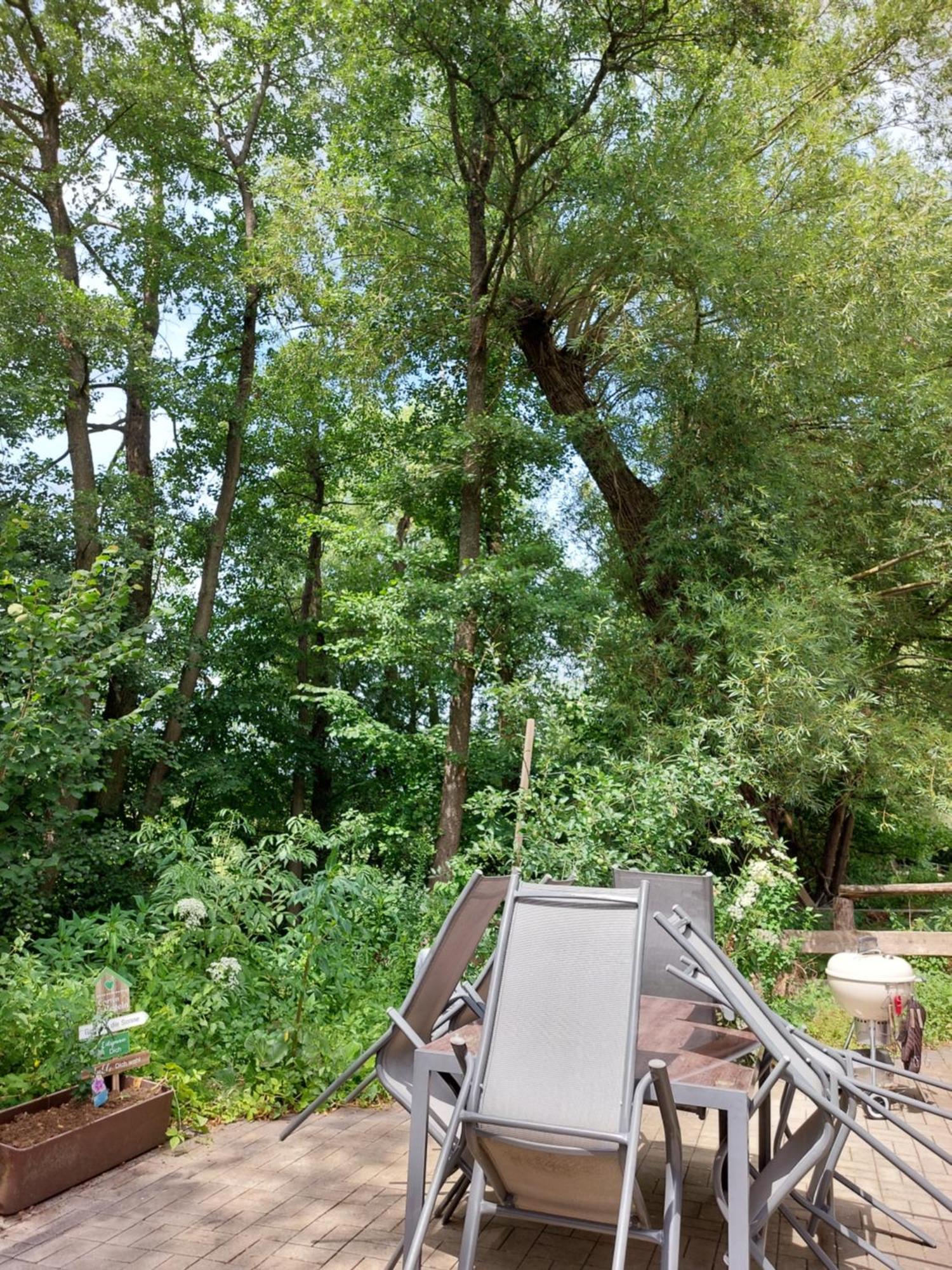 Apartment Schöne Direkt Am Bach Neunkirchen am Sand